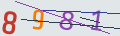 verifycode
